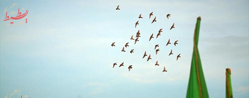 آغاز دوباره